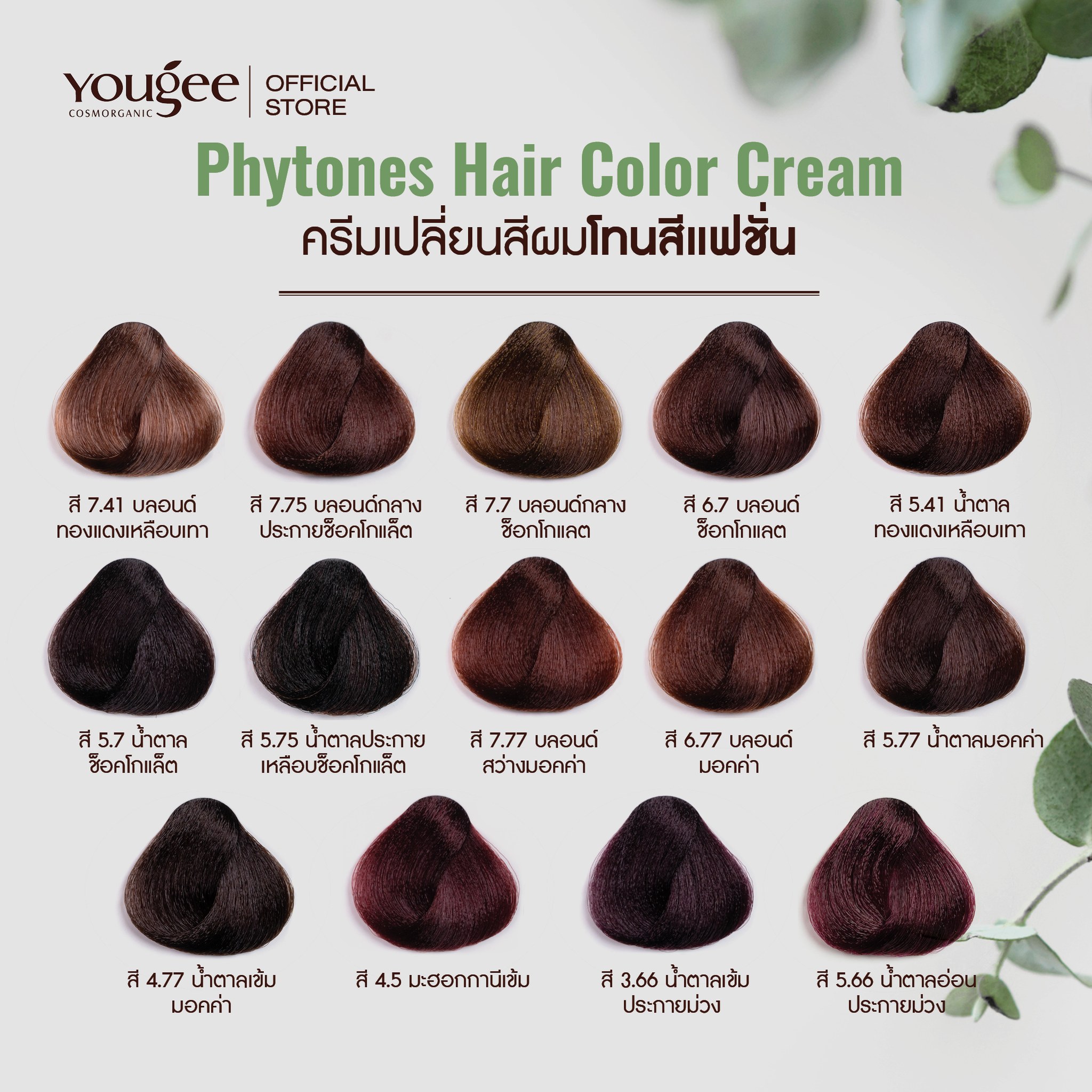 Phytones Hair Color Cream